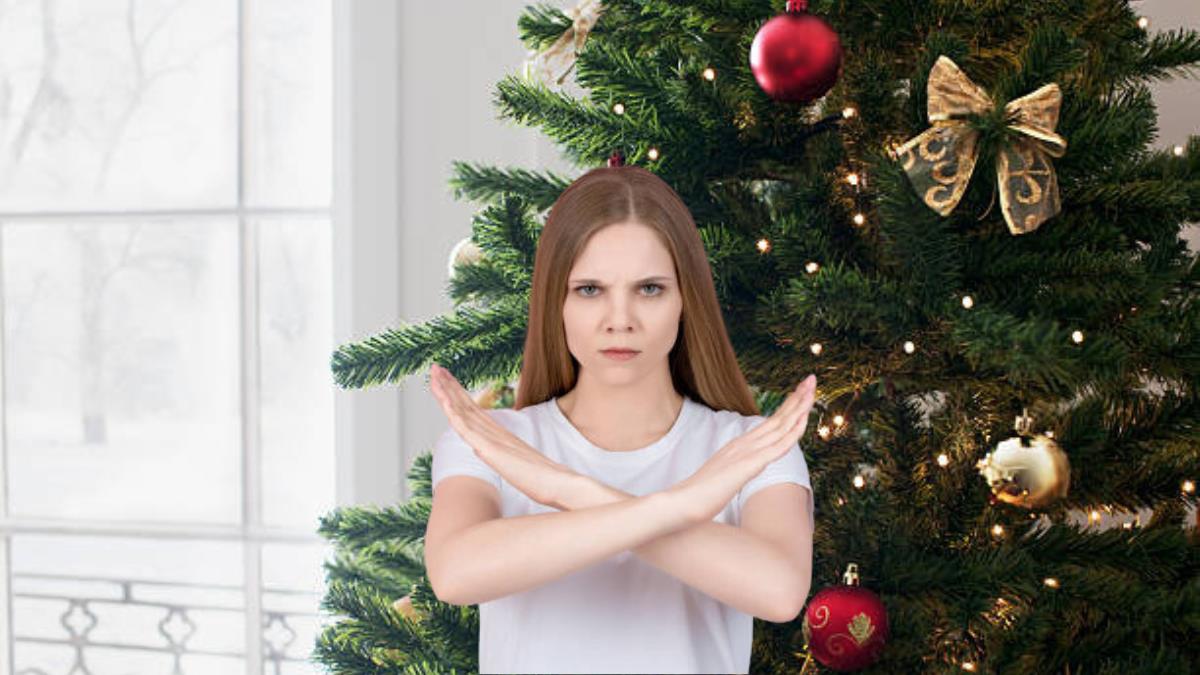 Dile adiós al árbol de Navidad: conoce la planta que lo reemplaza y atrae dinero a tu vida